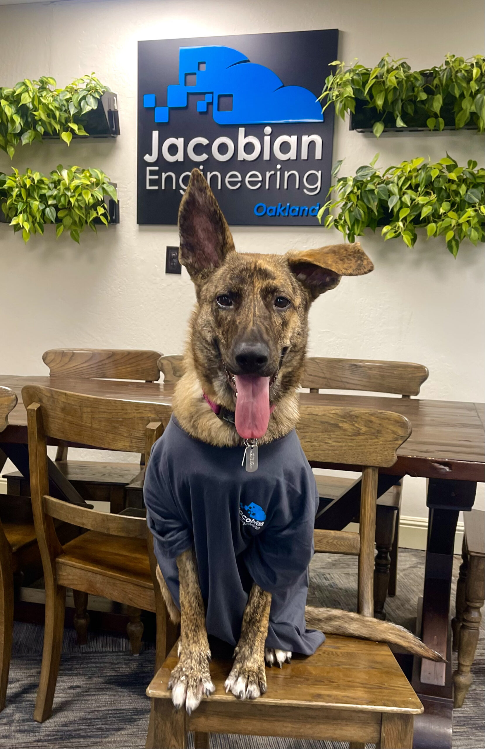 Flexible Work Environment