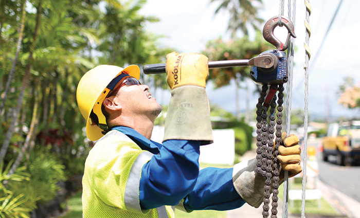Hawaiian Electric - Utility Infrastructure Security Enhancement