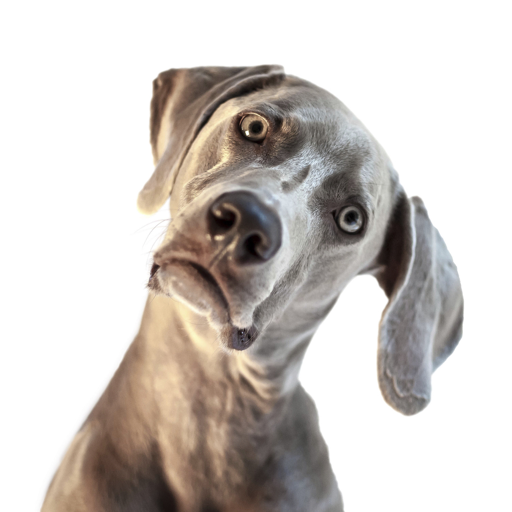 Security Misconceptions that Will Drive You Out of Business